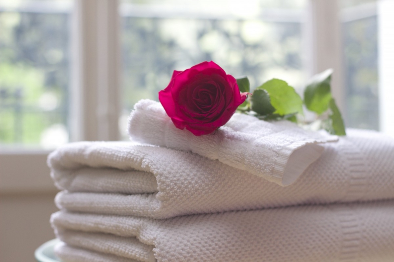 chambre-hote-ST DALMAS LE SELVAGE-min_towel_rose_clean_care_salon_spa_white_bath-731641